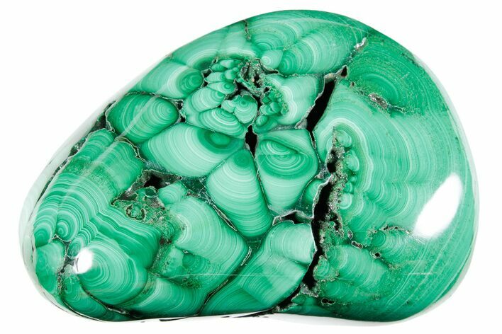 Flowery Polished Malachite Specimen - DR Congo #360909
